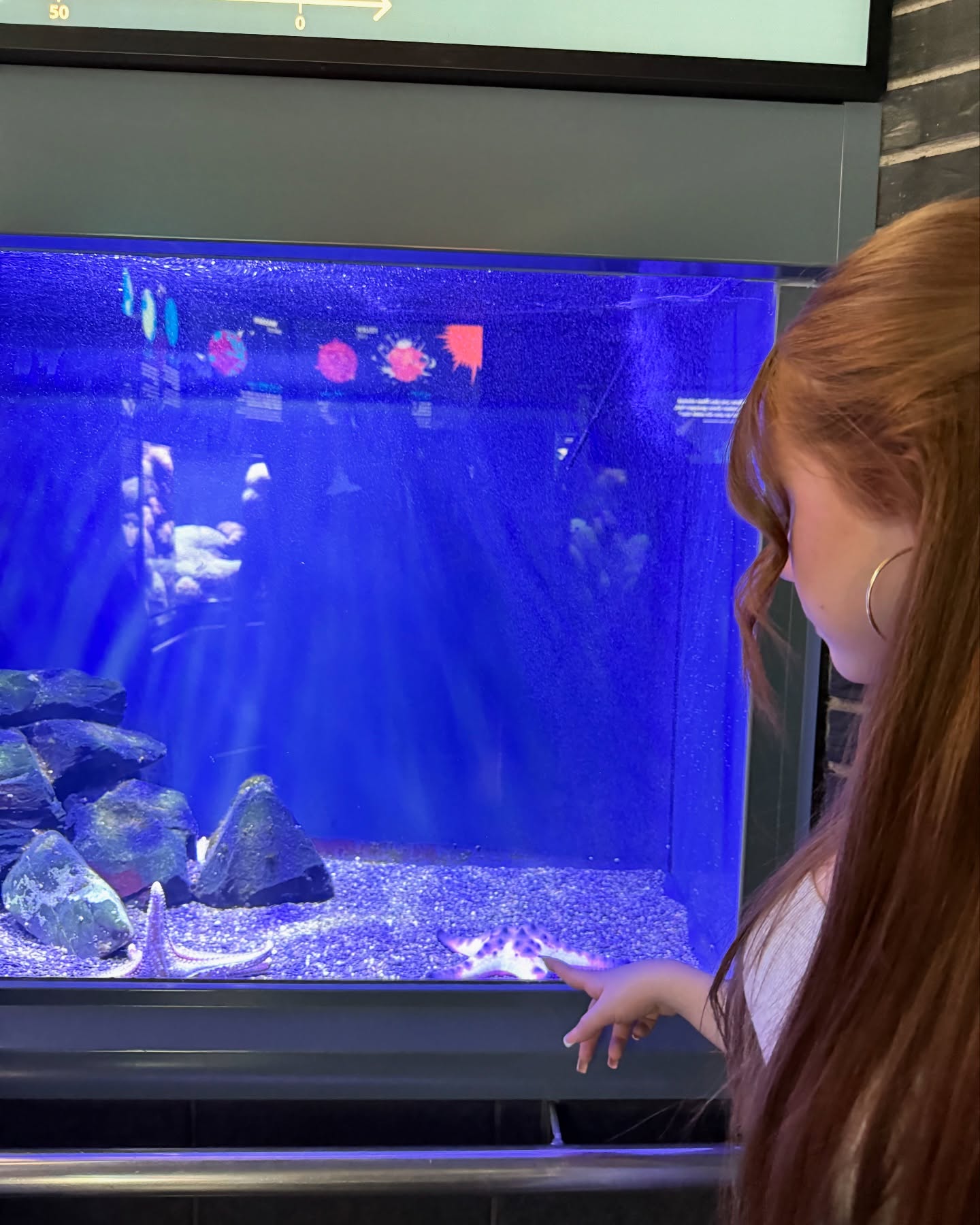 Instagram Photo von Twins